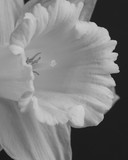 by Chip Etier