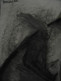 by Anna  Girgis