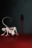 by Santiago Iborra