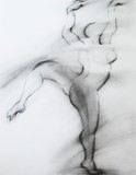by Olga Wildman