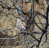 by Barry Hart