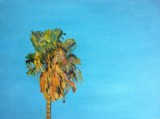 by Kathy Schoeppner