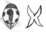 by Kirstyn Hixson