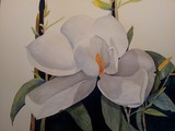 by Fabiene Mader