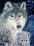 by tracy rice