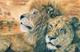 by tracy rice