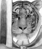 by Jenn Shumaker