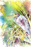by Nancy Melton
