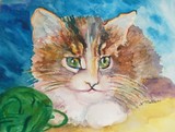 by Nancy Melton