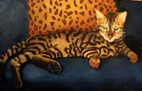 by Fran McLean
