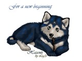 by chibi zaza
