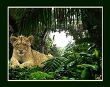 by Graphic Designs By Suz