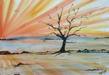 by Anjali Sanghi