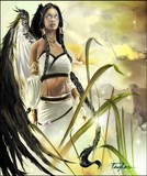 by Fantasy by Darryl Taylor
