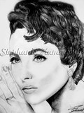 by Stephanie Hammond
