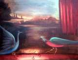 by salvatore di giovanna