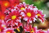 by Auber Fiori
