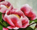 by Auber Fiori