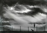by jason flavell