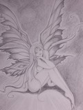 by Brenda Polito