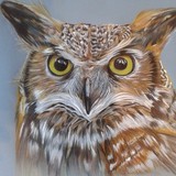 by Debi Ware