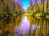 by michael  farnham
