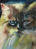 by Richard  OMalley 