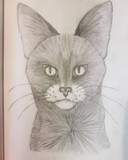 by Evdokia Risak