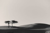 by Inder Gopal