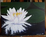 by megan horachek