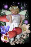 by katy sigle