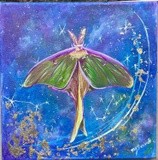 by Michelle Brandt