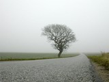 by Steen Djervad
