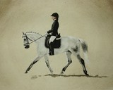 by Amanda Cowan