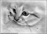 by Katerina Koukiotis