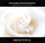 by DEE JOBES PHOTOGRAPHY