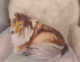 by Bev                  Chudey