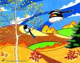 by Marci McAdam