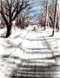 by Lynne Chrapliwy