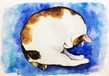 by Tomohiro Mae