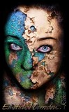 by Robin Wester