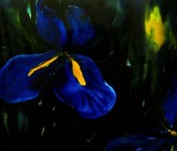 by Nelly van Nieuwenhuijzen