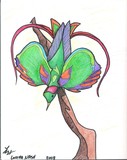 by Loretta Nash