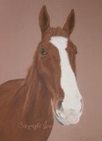by Joanne Simpson-Connor