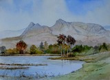 by Malcolm Coils
