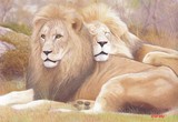 by Leigh Rust