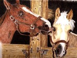 by Deborah L. Duffield