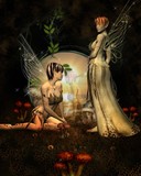by Sandy Wiech