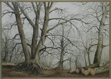 by Bela Recmo