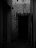 by Karlo Danilovic